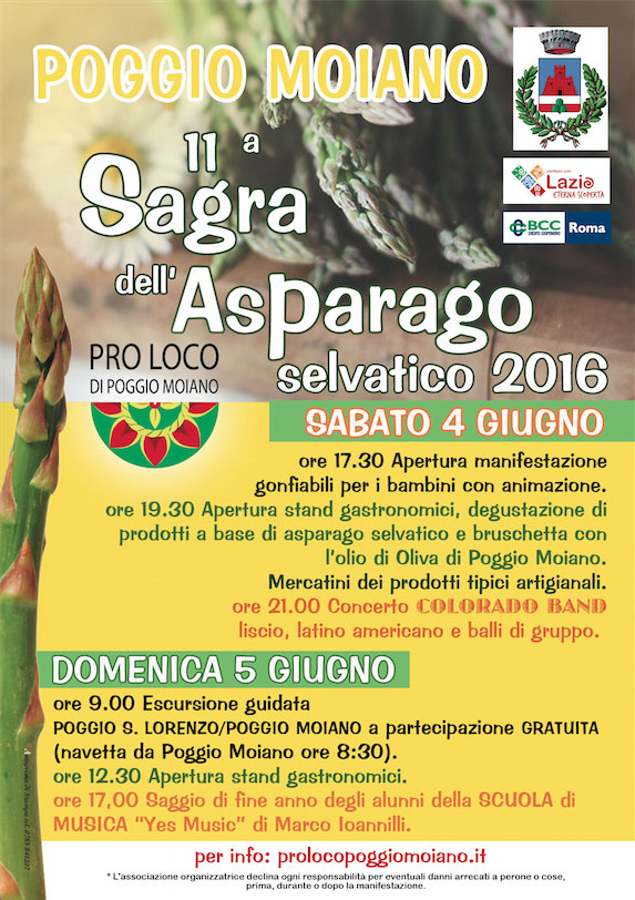 vol-sagra-asparago-2016